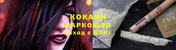 ешки Арсеньев