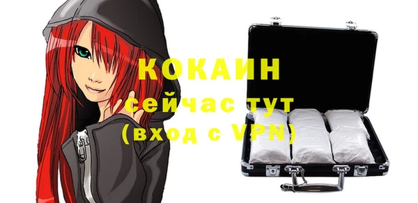 ешки Арсеньев