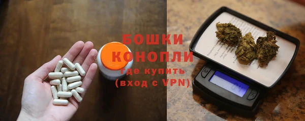 ешки Арсеньев